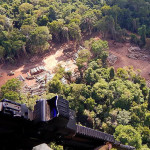 熱帯雨林で押収された違法伐採の木材（ブラジル連邦警察）