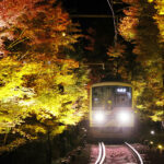 京都でもみじのトンネルをライトアップ