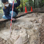 「仁徳天皇陵」調査、堤の内側から埴輪列を確認