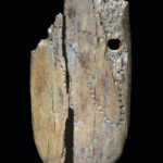 ポーランドの洞窟で４万年前のペンダントを発見