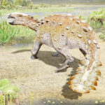 新種草食恐竜の化石、オールのように平たい尾