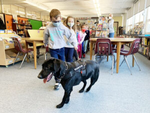 コロナ探知犬が学校で活躍、子供たちの健康守る