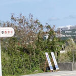 沖縄県のＭＩＣＥ計画、政府と対立し大幅縮小
