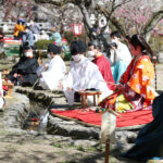 太宰府天満宮、梅の下で「曲水の宴」開催