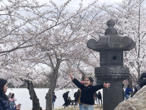 米首都ワシントンで桜祭り、コロナ超え３年ぶり