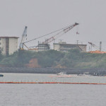ジュゴンはなぜ死んだ 辺野古工事の影響なし