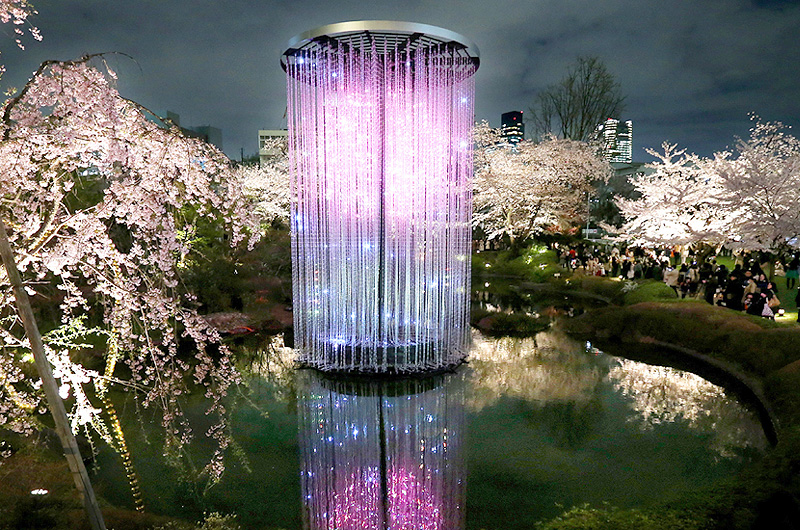 「クリスタル花火」、夜空を彩る幻想的な桜