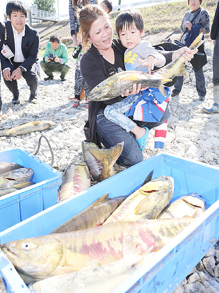 福島で５年ぶりに本格的なサケ漁が再開